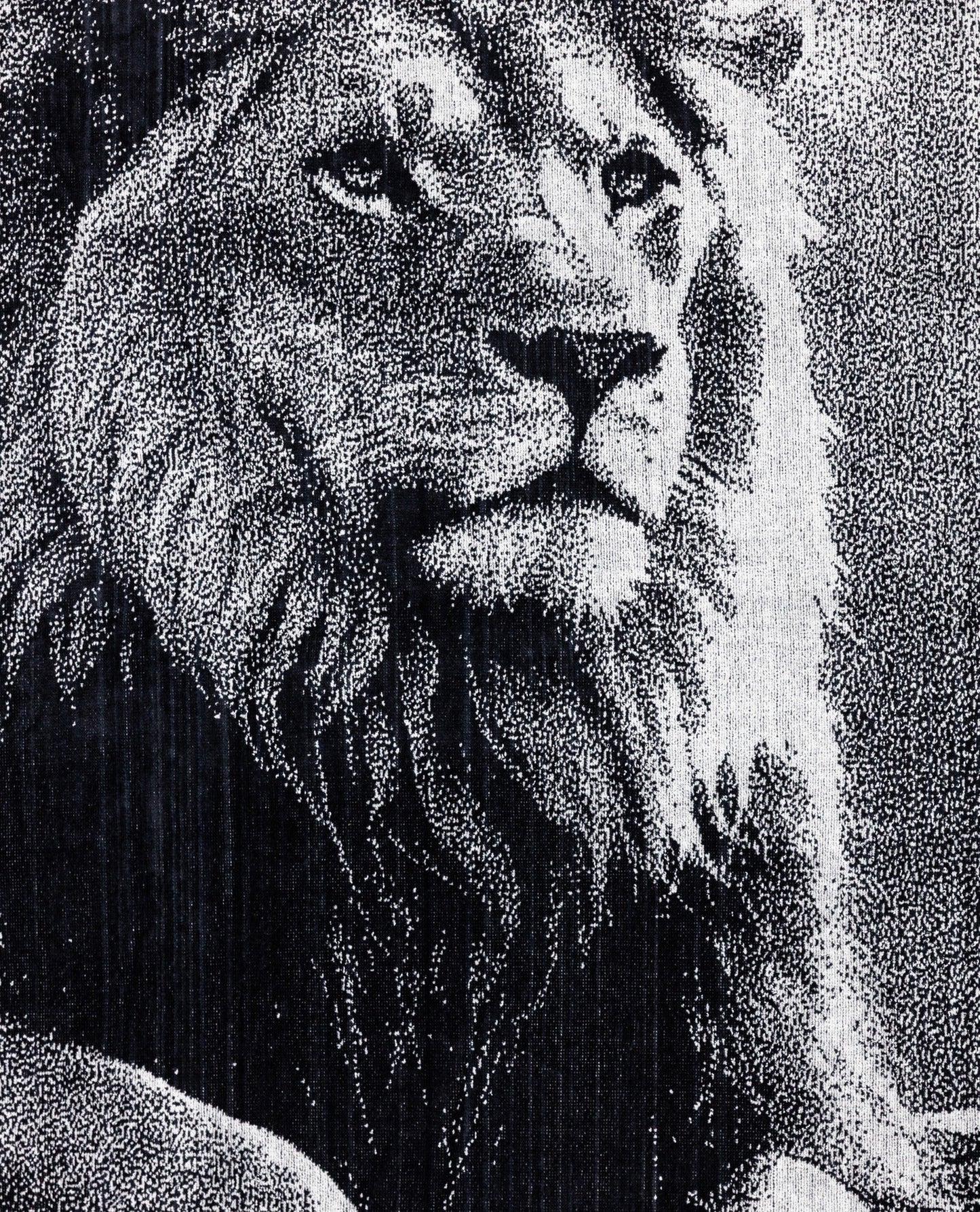 Animal Strandtuch Löwe von oben – 165x90 cm XXL Baumwolle