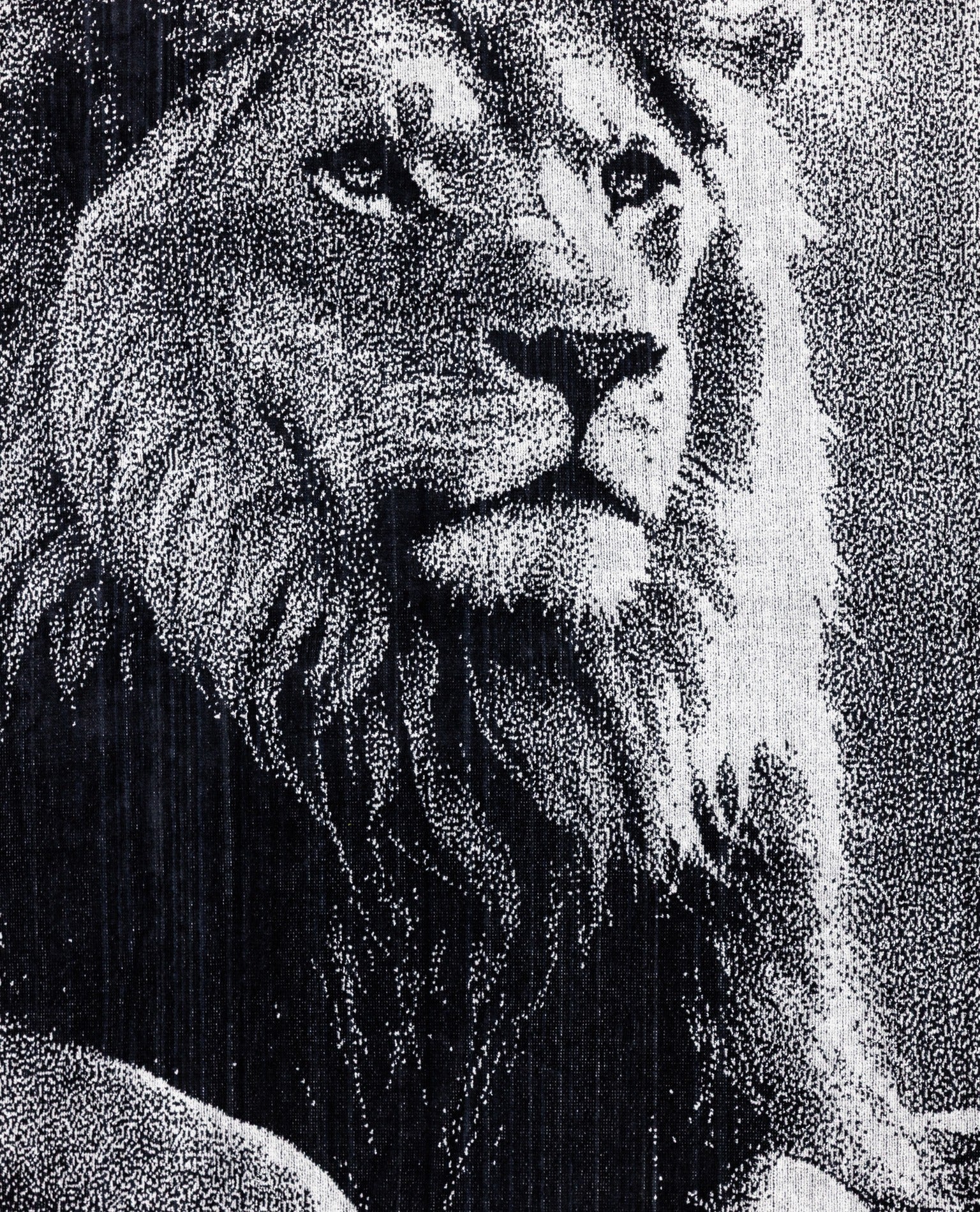 Animal Strandtuch Löwe von oben – 165x90 cm XXL Baumwolle