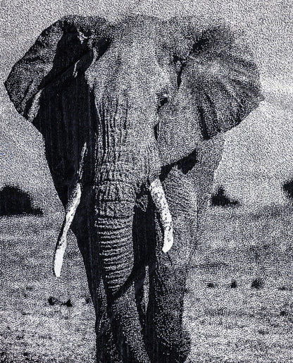Animal Strandtuch Elefant von oben – 165x90 cm XXL Baumwolle